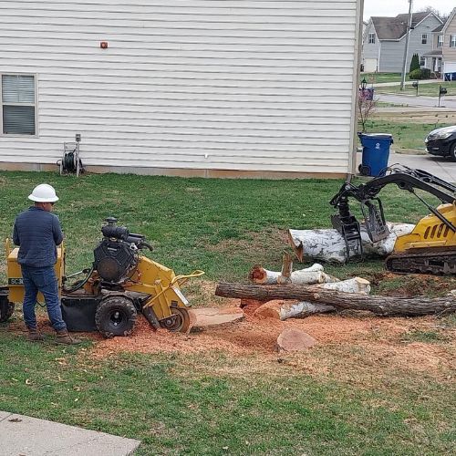 Stump Grinding