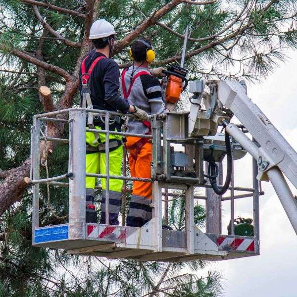 Emergency Storm Clean, 24/7
